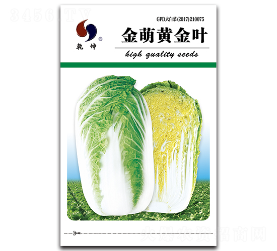 �����S���~-�ײ˷N��-Ǭ���N�I