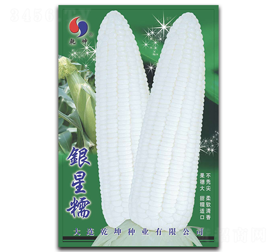 �y��Ŵ-���׷N��-Ǭ���N�I