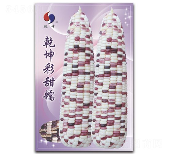 Ǭ������Ŵ-���׷N��-Ǭ���N�I