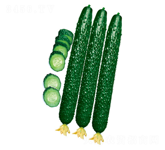 �����-�S�ϷN��-����