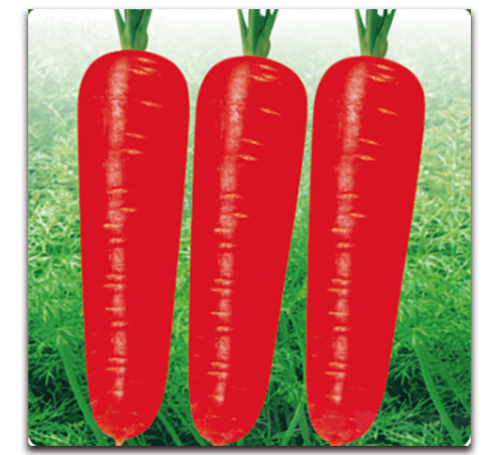 ���u9̖-���}���N��-��˹��