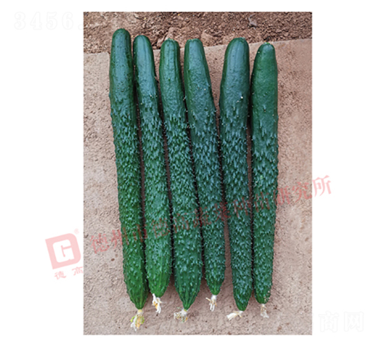 �¸�C28-�S�ϷN��-�¸�