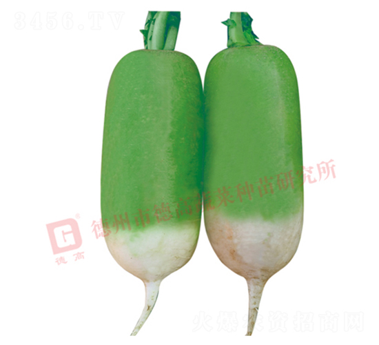 R117-�S�GƤ�}���N��-�¸�