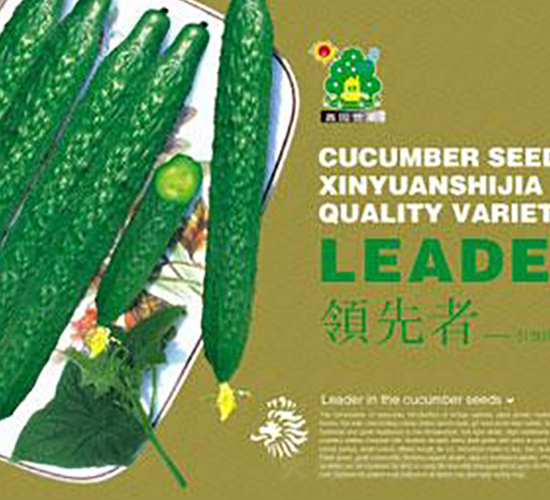 �I(l��ng)����-�S�ϷN��-�Έ@����