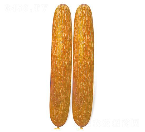 �ρ���-�S�ϷN��-�Έ@����