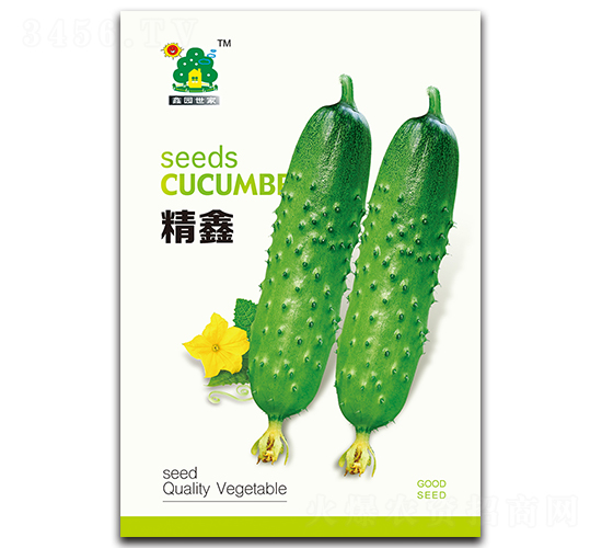 ����-�S�ϷN��-�Έ@����