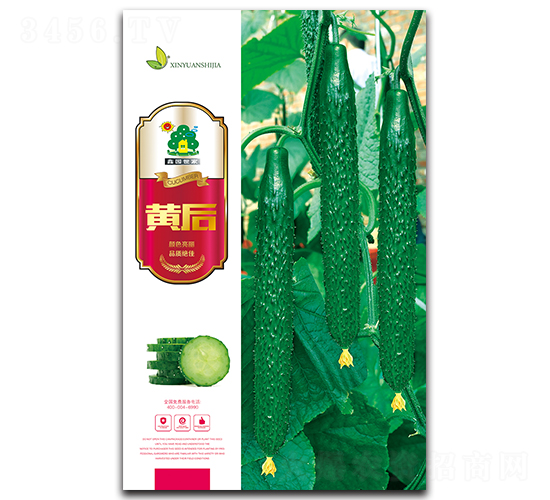 黃后-黃瓜種子-鑫園世家