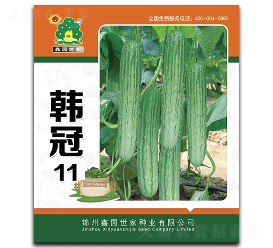 韓冠11-黃瓜種子-鑫園世家