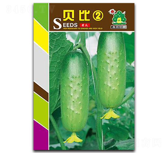 ؐ��2-�S�ϷN��-�Έ@����