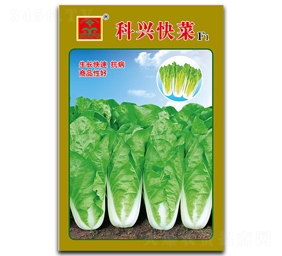 ���d���-�~�˷N��-���d�N�I