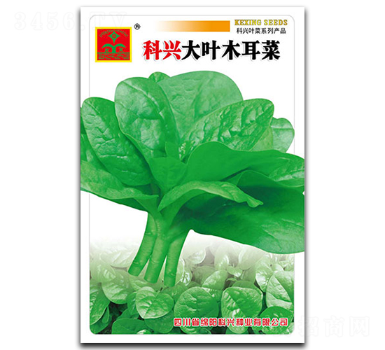 ���~ľ����-�~�˷N��-���d�N�I