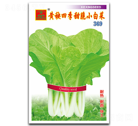 �S���ļ����С�ײ�-�~�˷N��-���d�N�I