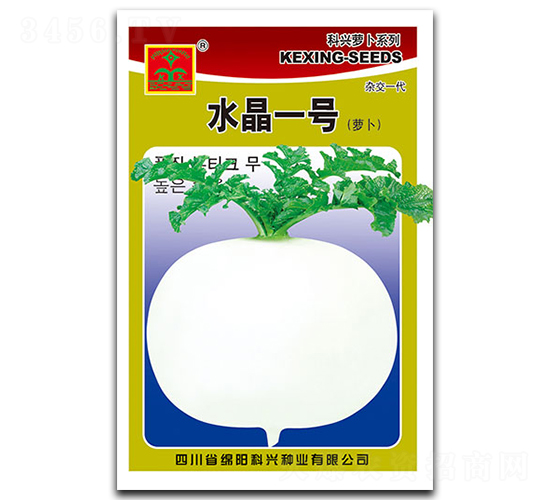 水晶一號(hào)-蘿卜種子-科興種業(yè)
