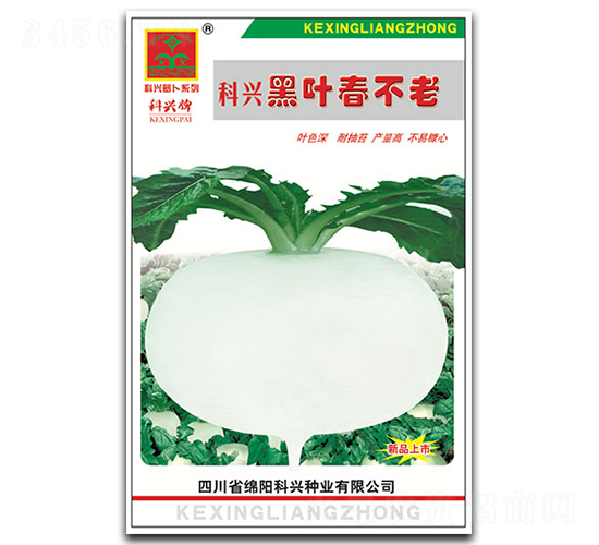 黑夜春不老蘿卜-蘿卜種子-科興種業