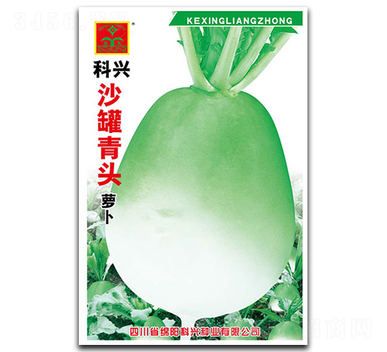 ɳ���i�^�}��-�}���N��-���d�N�I(y��)