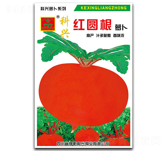 紅圓根蘿卜-蘿卜種子-科興種業