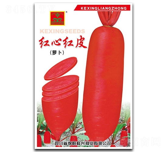 �t�ļtƤ-�}���N��-���d�N�I