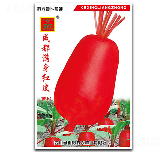 �M���tƤ�}��-�}���N��-���d�N�I