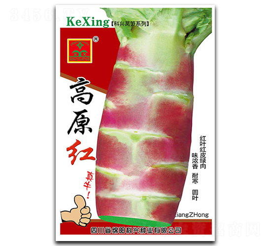 高原紅-萵筍種子-科興種業