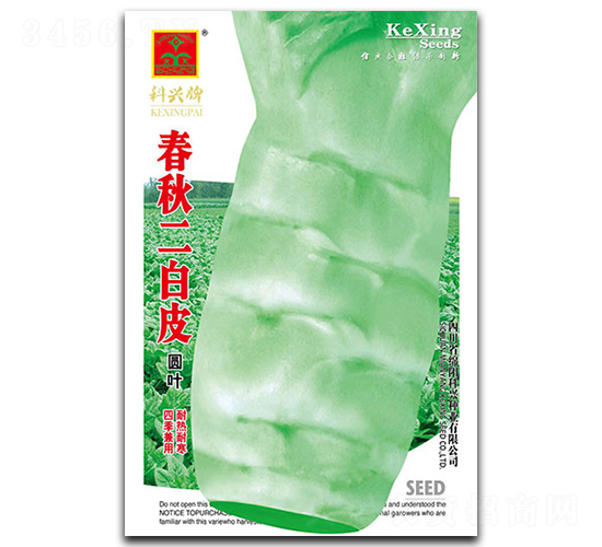 �������Ƥ-�n�S�N��-���d�N�I