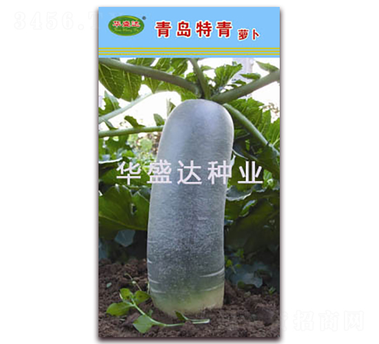 ���u����-�}���N��-�Aʢ�_