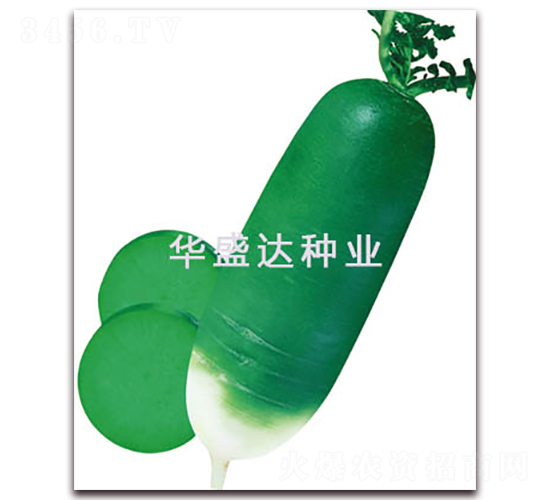 ���u�����}��-�}���N��-�Aʢ�_