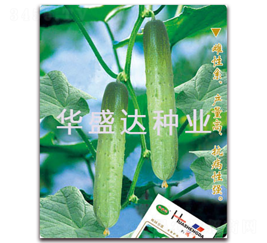 ����-�S�ϷN��-�Aʢ�_