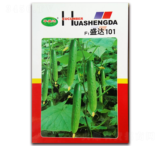 F1ʢ�_101-�S�ϷN��-�Aʢ�_