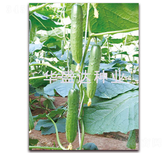 ʢ�_103-�S�ϷN��-�Aʢ�_