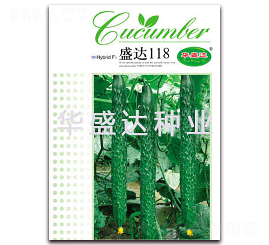 盛達118-黃瓜種子-華盛達