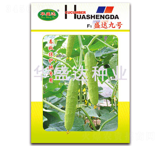 F1ʢ�_(d��)��̖-�S�ϷN��-�Aʢ�_(d��)