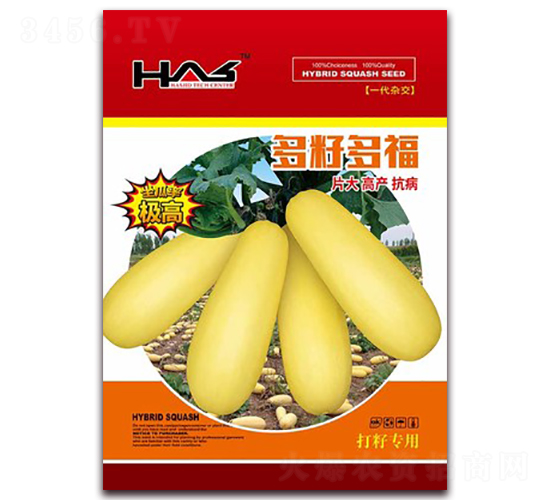 ���Ѷร-���������J�N��-�β���