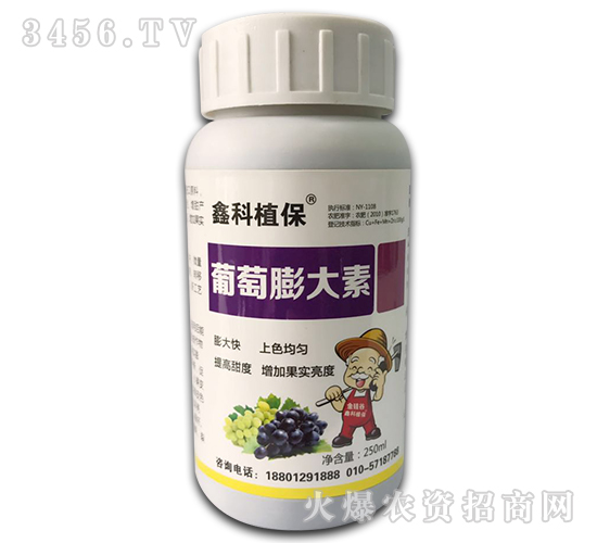 ���������-������˹