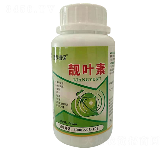 �n�~��-������˹