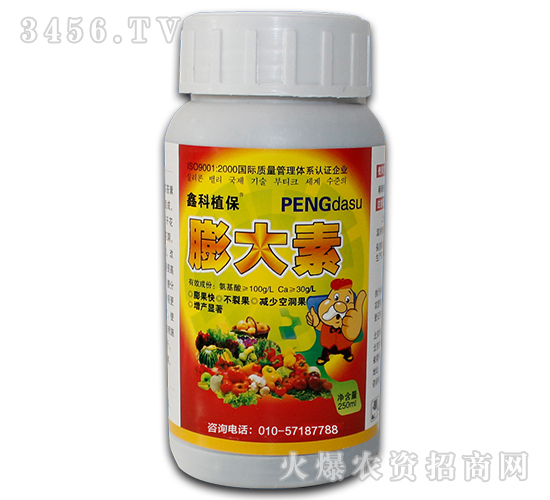 膨大素-哈漫迪-阿爾拉斯