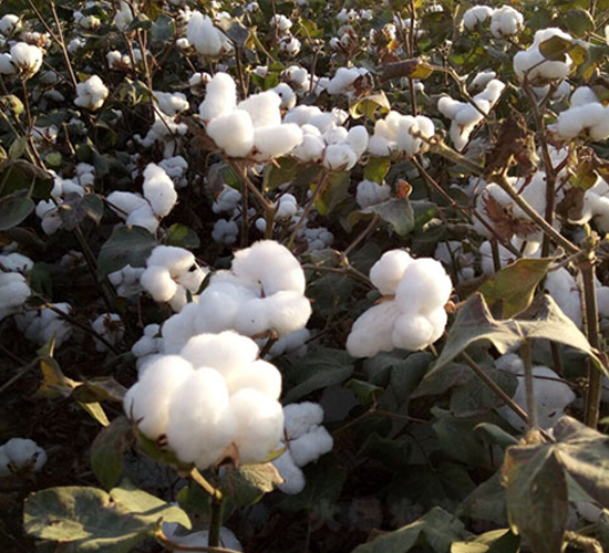 �º�24̖-�޻��N��-��ʥ�̷N�I(y��)