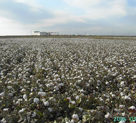 �º�35̖-�޻��N��-��ʥ�̷N�I