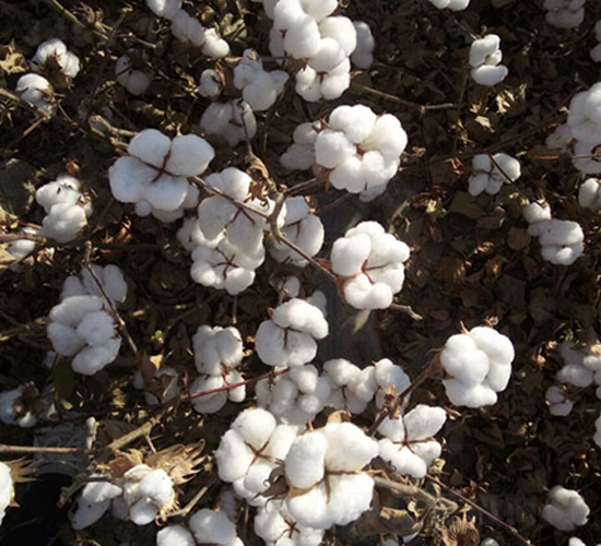 �����57̖-�޻��N��-��ʥ�̷N�I