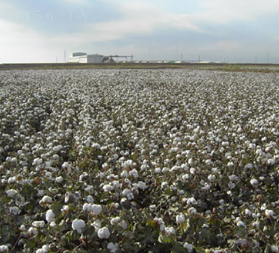 �����67̖-�޻��N��-��ʥ�̷N�I