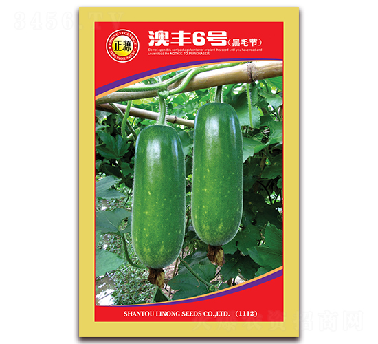 ���S6̖-���ϷN��-�����r