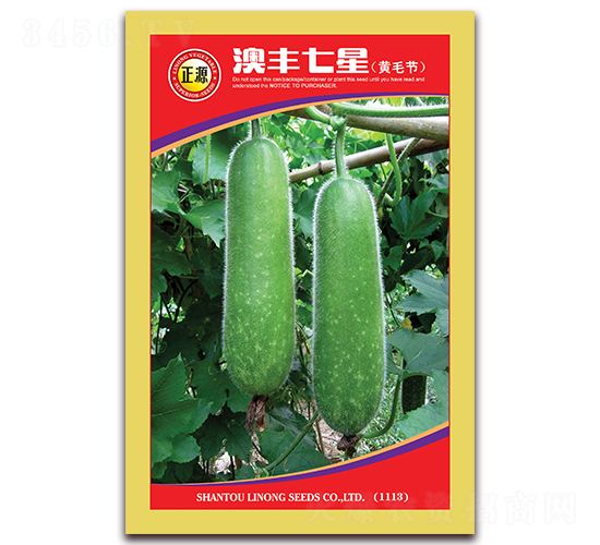 ���S���ǹ���-���ϷN��-�����r