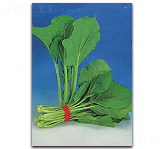 С�Ͳ˾G��-�Ͳ˷N��-�����S��