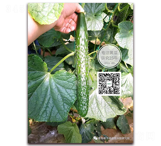 ��Ԫ��̖-�ܴ��S�ϷN��-�¸ɾ�