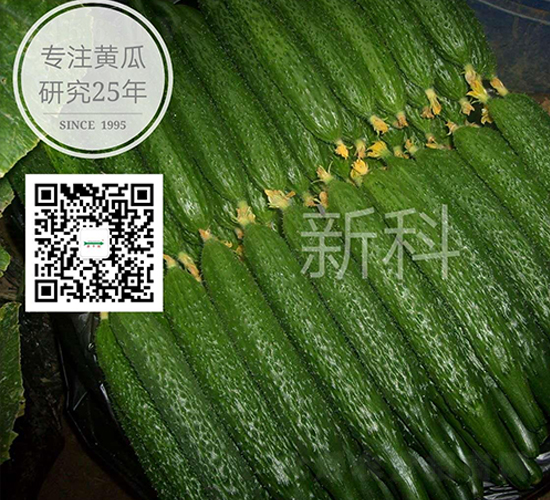 �¿�802-�ܴ��S�ϷN��-�¸ɾ�