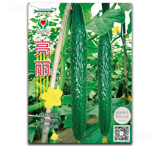 ����-�ܴ��S�ϷN��-�¸ɾ�