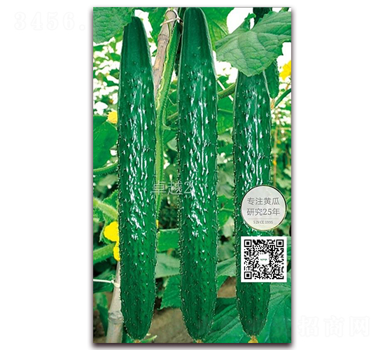 ׿Խ2̖-�ܴ��S�ϷN��-�¸ɾ�