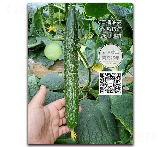 � �Ԫ3̖-�ܴ��S�ϷN��-�¸ɾ�