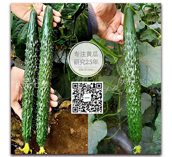 ��Ԫ7̖(h��o)-�ܴ��S�ϷN��-�¸ɾ�