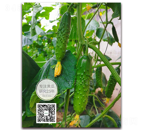 δ��(l��i)116-�S�ϷN��-�¸ɾ�