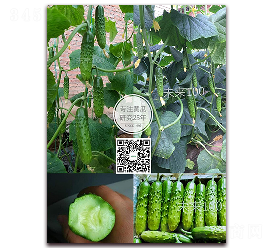 δ��100-�S�ϷN��-�¸ɾ�